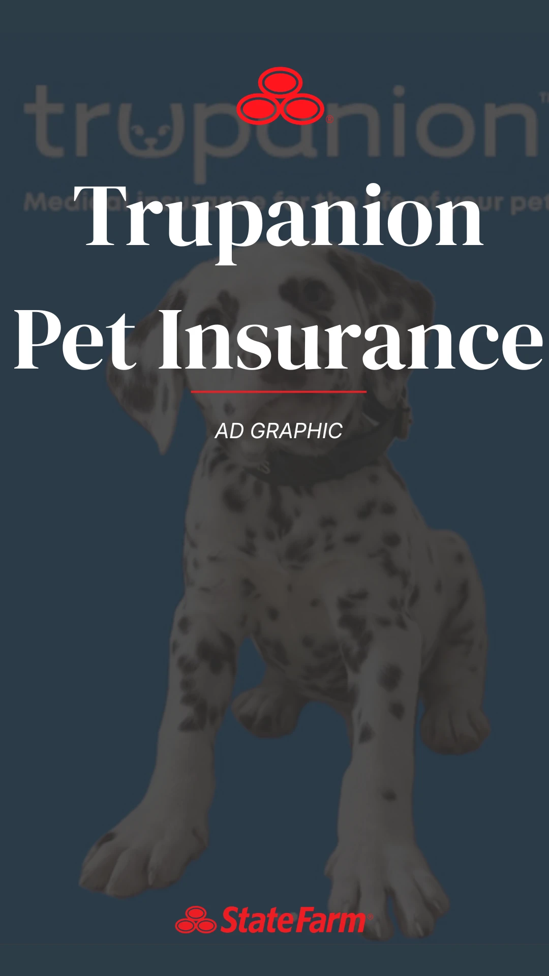 Pet Insurance